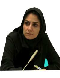 amirsadeghi2431@gmail.com